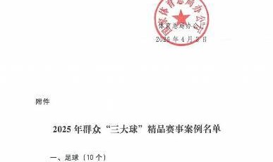 游戏玩法-全国仅5个！辽源这张“国家级名片”来之不易|辽源市|排球|气排球|吉林省|三大球_新浪体育_新浪新闻